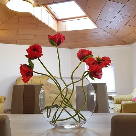 Elena Flat Mohn Duisburg Zentrum Экстерьер фото